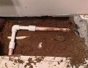 杭州市测漏水哪家好