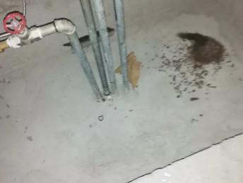 杭州市卫生间测漏水价格明细