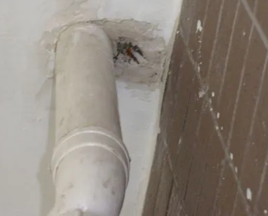 杭州市漏水检测哪家好